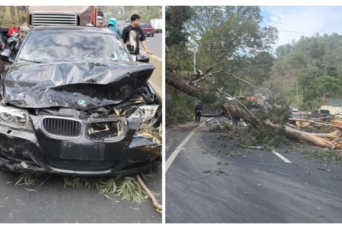 El vehículo quedó con múltiples daños tras ser impactado por el árbol., PMT de Villa Nueva