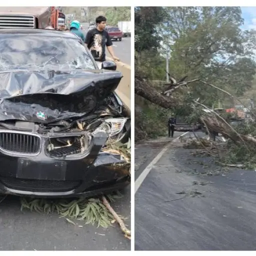 El vehículo quedó con múltiples daños tras ser impactado por el árbol. ,PMT de Villa Nueva
