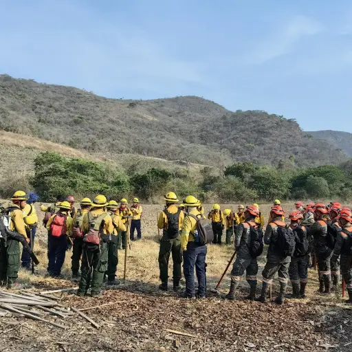 Las Brigadas de Conred trabajan en cuatro escenarios afectados por incendios forestales. ,Conred.