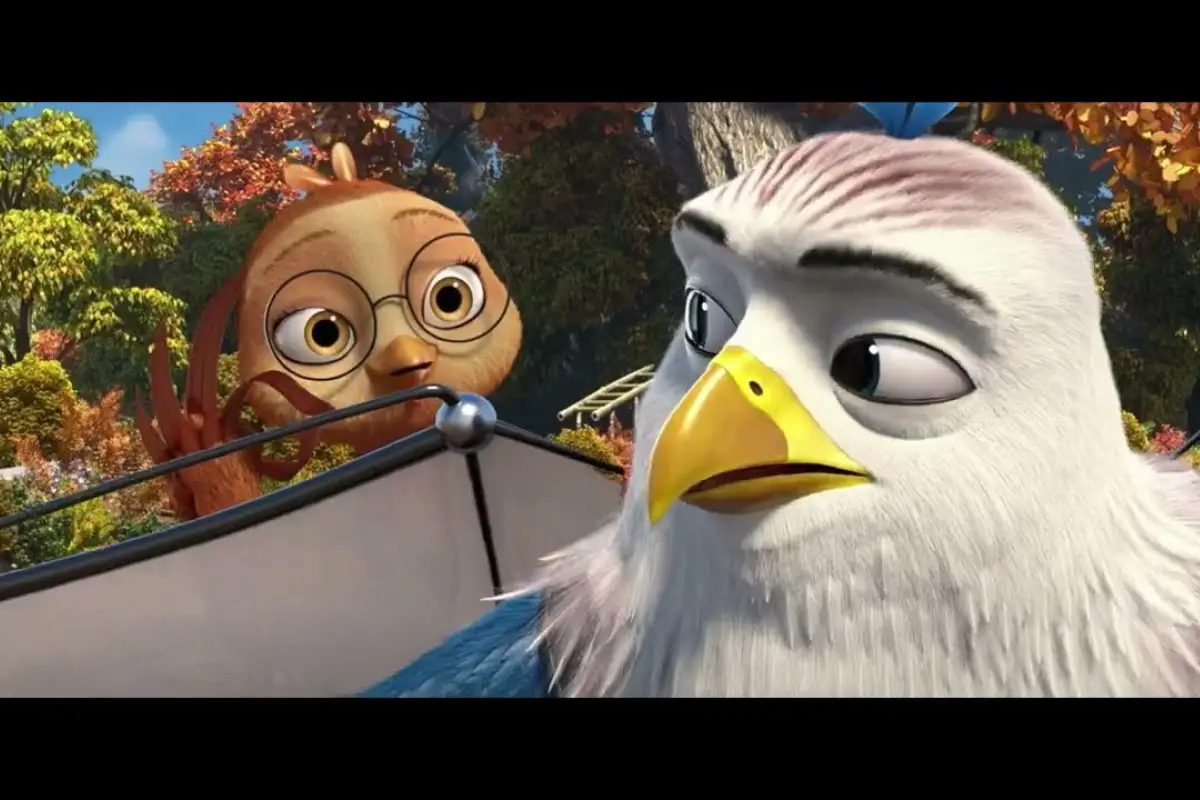Película, Película