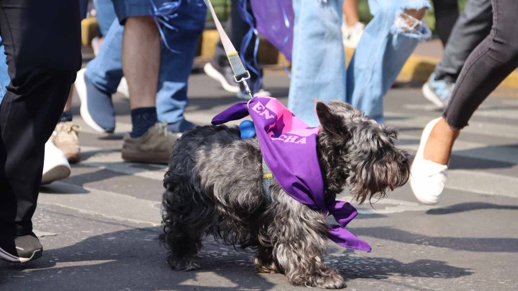 Marchan para pedir justicia por la muerte de Melissa Palacios  | Álex Meoño