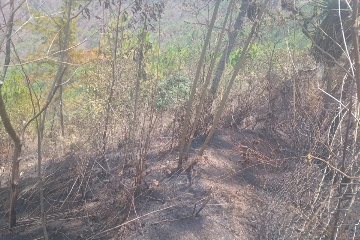 El incendio más reciente ocurrió en el caserío Piedra Redonda, del municipio de Tectitán, departamento de Huehuetenango. , Conred.