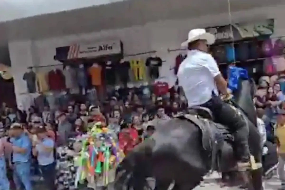 Caos en desfile hípico, Captura de pantalla video X.