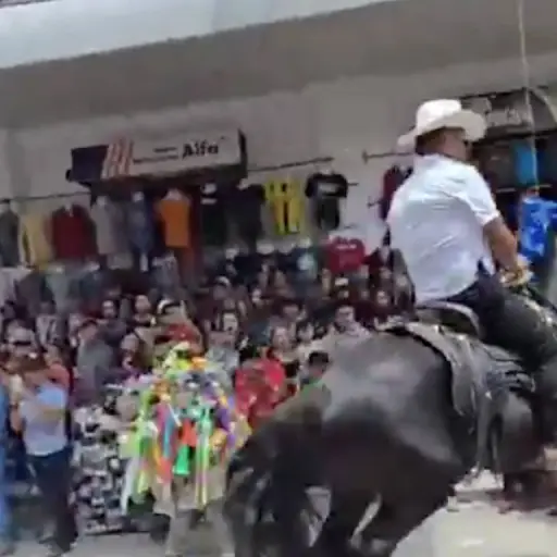Caos en desfile hípico ,Captura de pantalla video X.