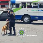 Verifican posible presencia de explosivo en bus en Mixcot