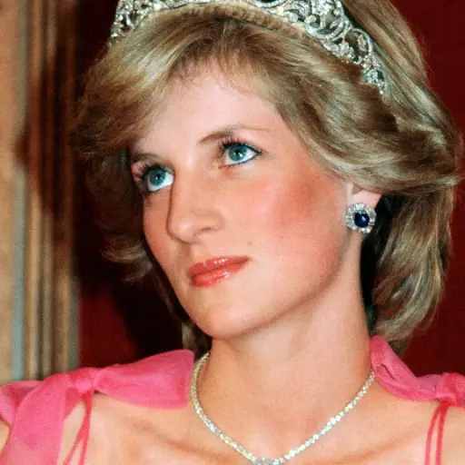 Lady Di ,Redes sociales
