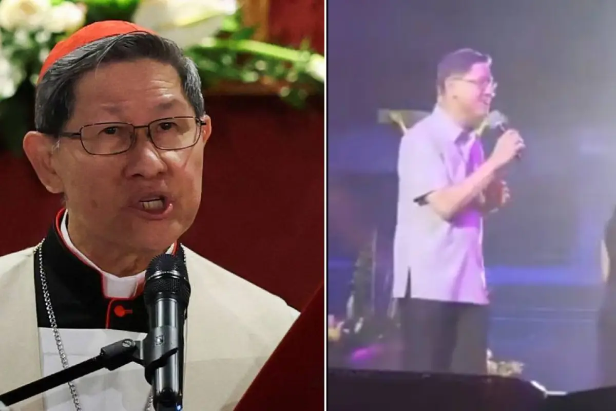 Luis Antonio Tagle, Redes sociales