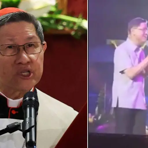 Luis Antonio Tagle ,Redes sociales