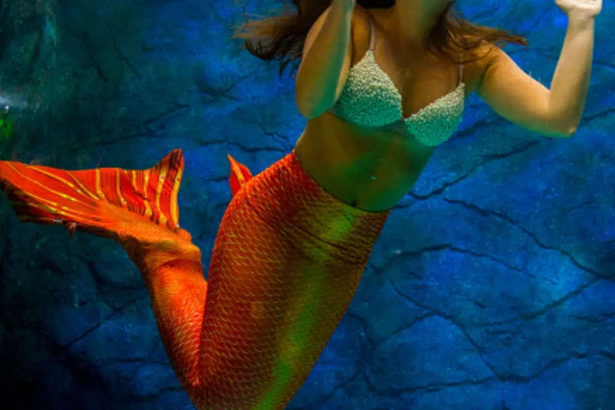 Pánico en acuario., Redes sociales