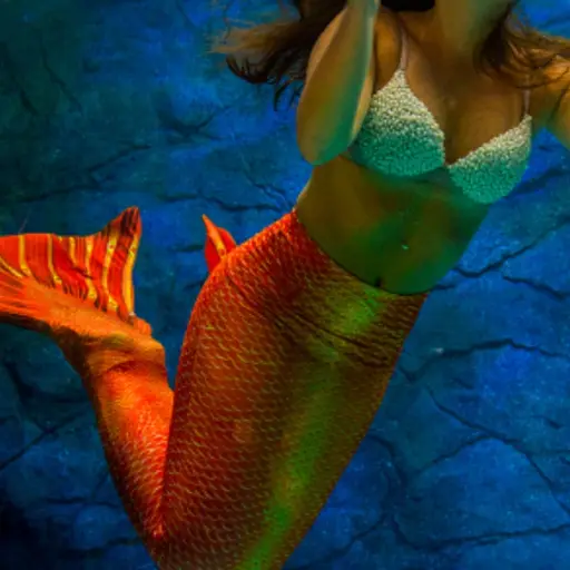 Pánico en acuario. ,Redes sociales