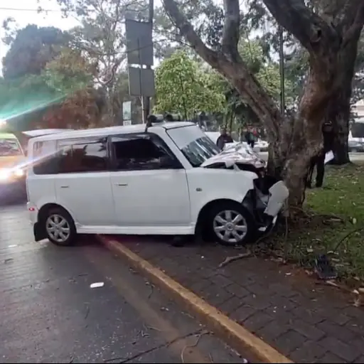 El vehículo quedó empotrado en un árbol. ,Bomberos Municipales