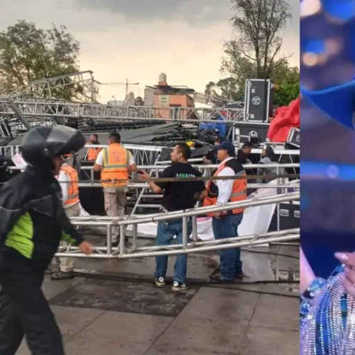 Alicia Villarreal ,Redes sociales