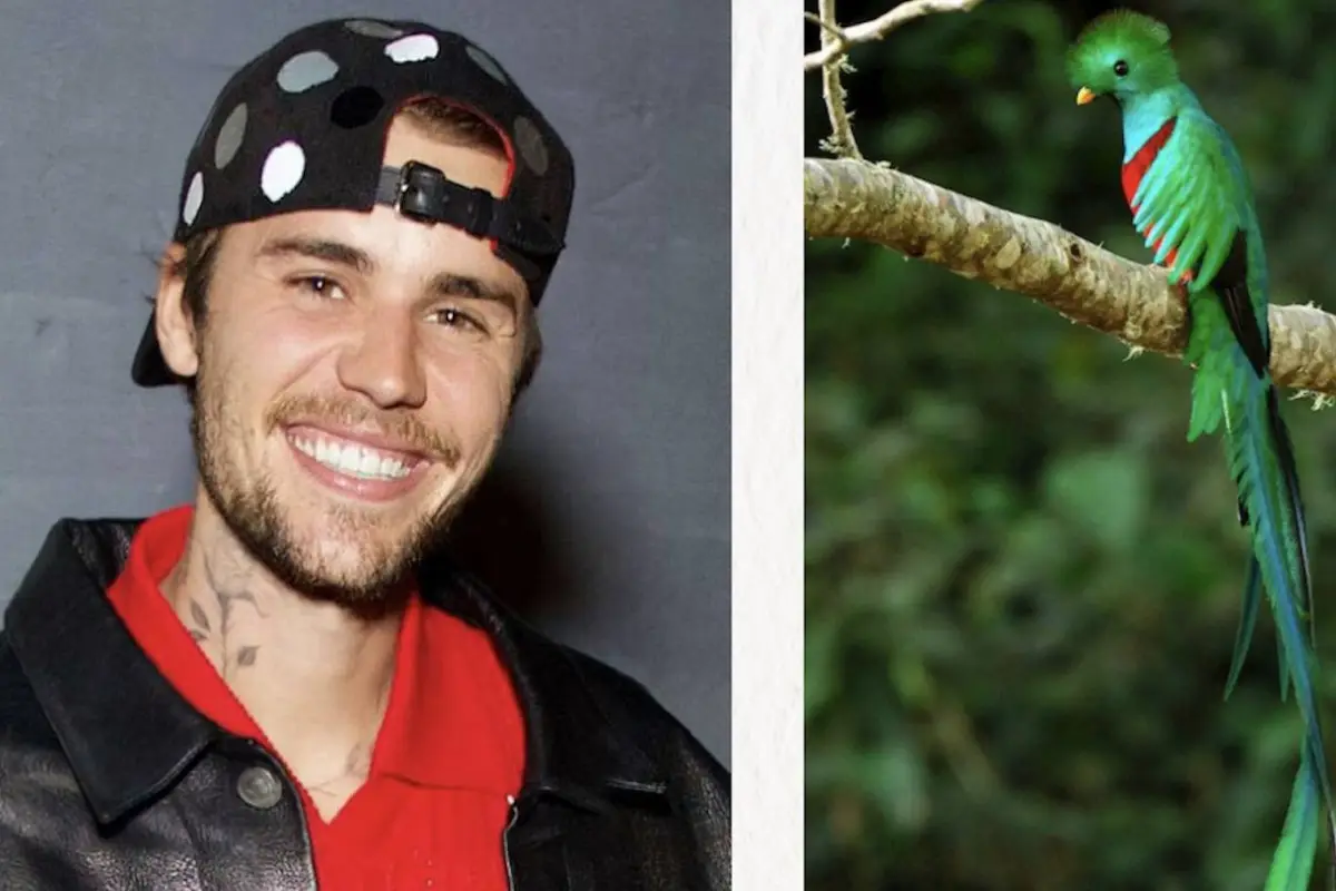 Justin Bieber, Justin Bieber