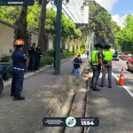 En Sacatepéquez fue hallada una cabeza humana abandonada en la vía pública. ,Bomberos Municipales Departamentales