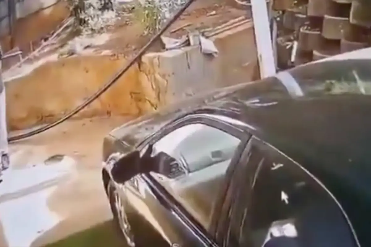 Perros guardianes atacan a hombre., Captura de pantalla video X.