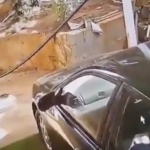 Perros guardianes atacan a hombre. ,Captura de pantalla video X.