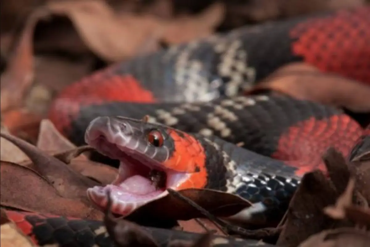 Imagen con fines ilustrativos , Redes sociales