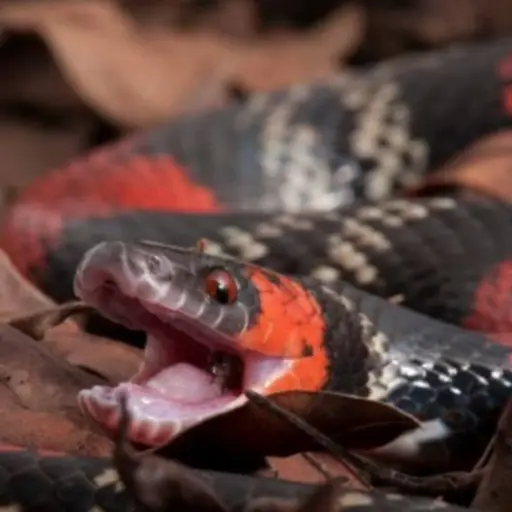 Imagen con fines ilustrativos  ,Redes sociales