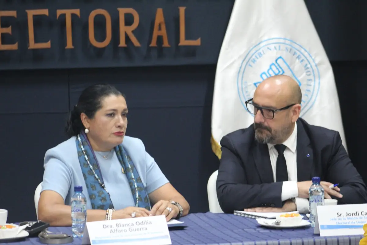 Presidenta del TSE se reúne con delegado de la Unión Europea