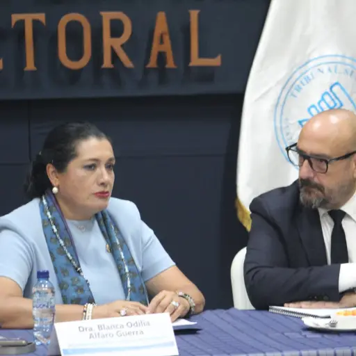 Presidenta del TSE se reúne con delegado de la Unión Europea