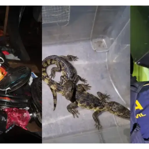 Objetos decomisados durante requisa en cárcel de Escuintla. ,