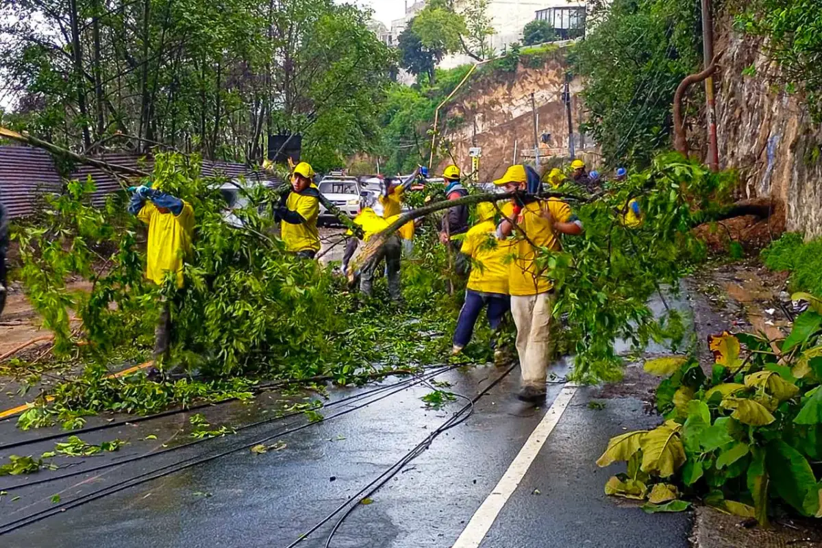 Derrumbes, caída de árboles y socavamientos son parte de las emergencias atendidas por Covial., CIV