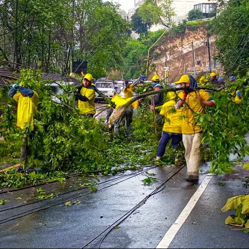 Derrumbes, caída de árboles y socavamientos son parte de las emergencias atendidas por Covial. ,CIV