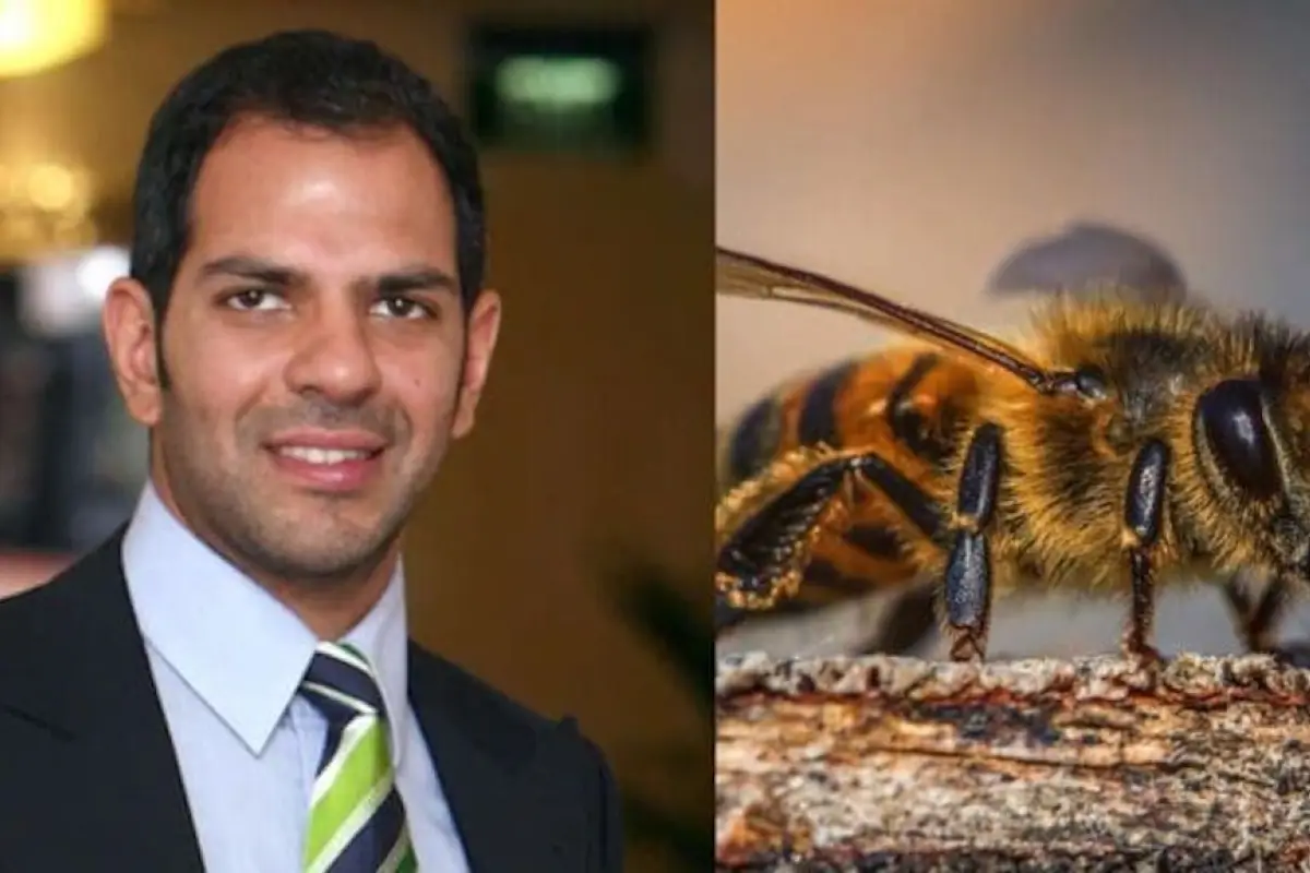 La abeja que causó la muerte de un multimillonario., Redes sociales.