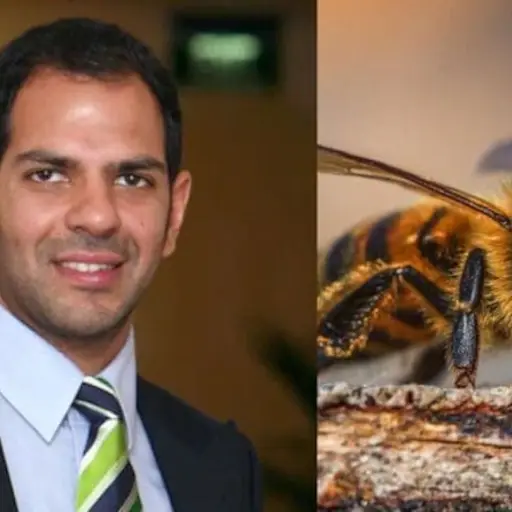 La abeja que causó la muerte de un multimillonario. ,Redes sociales.