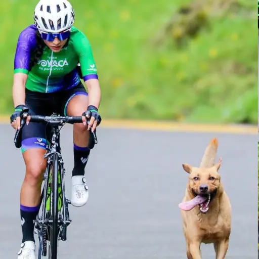 Un perro callejero fue protagonista en la segunda etapa de la Vuelta Femenina a Colombia 2025 
