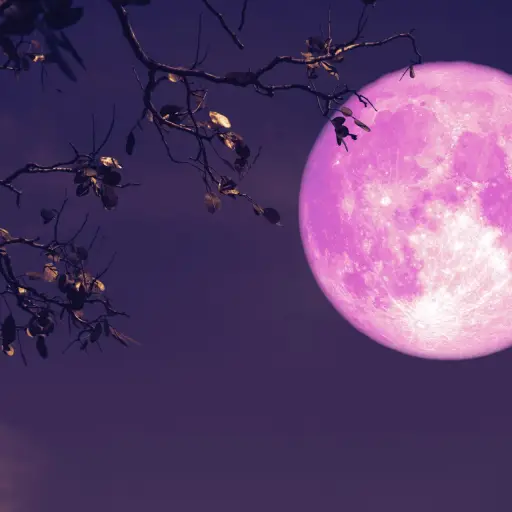 Luna de fresa ,Luna de fresa