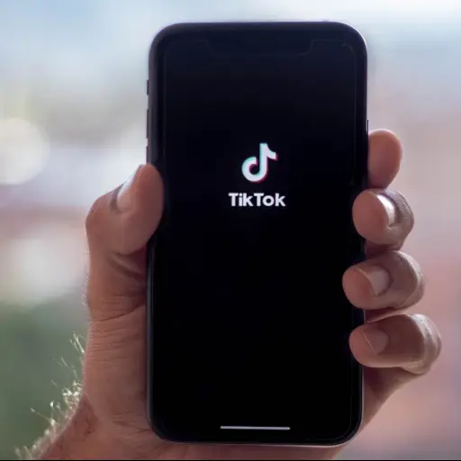 TikTok ,Imagen con fines ilustrativos | pixabay