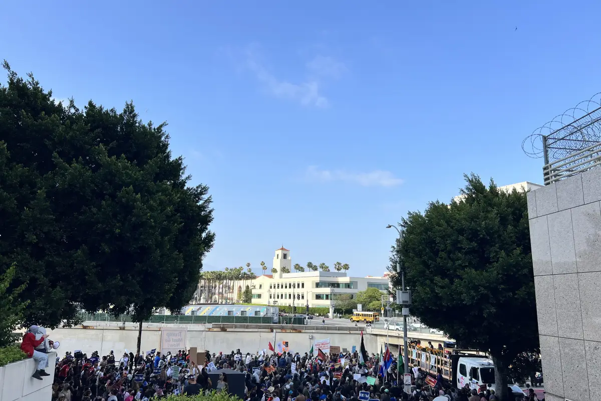 Tensión migratoria en Los Ángeles, Redes sociales.