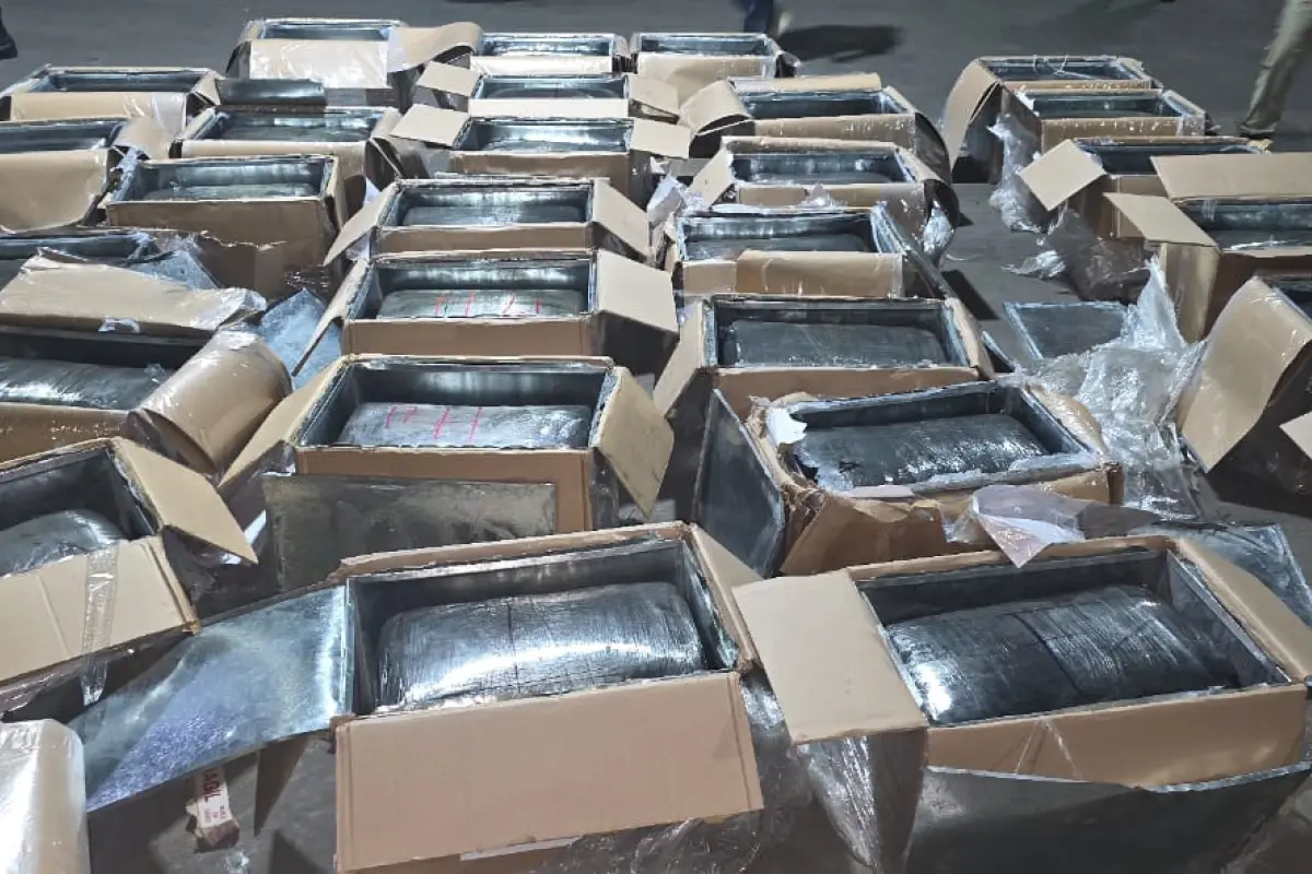 Marihuana localizada en Izabal. , PNC