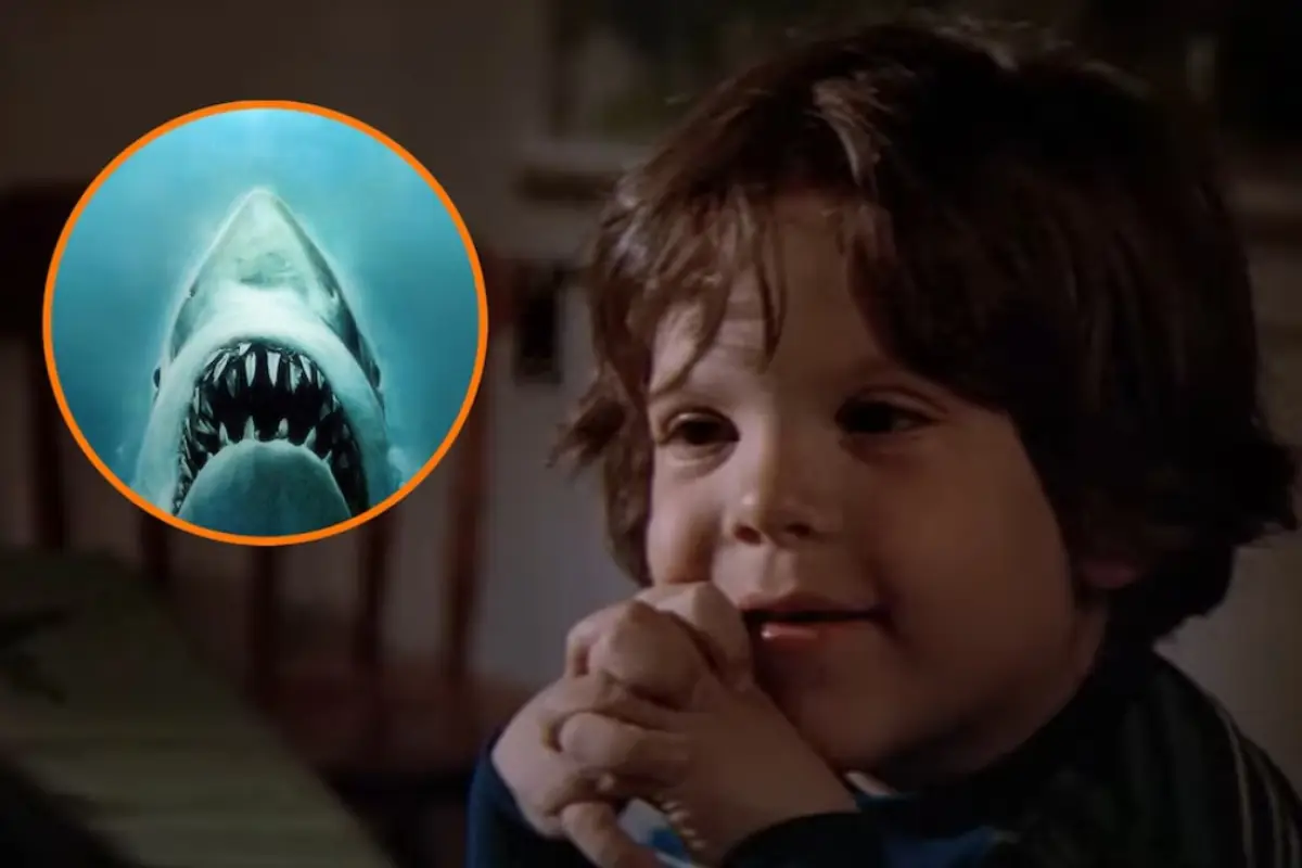 Jay Mello en Tiburón, Redes sociales