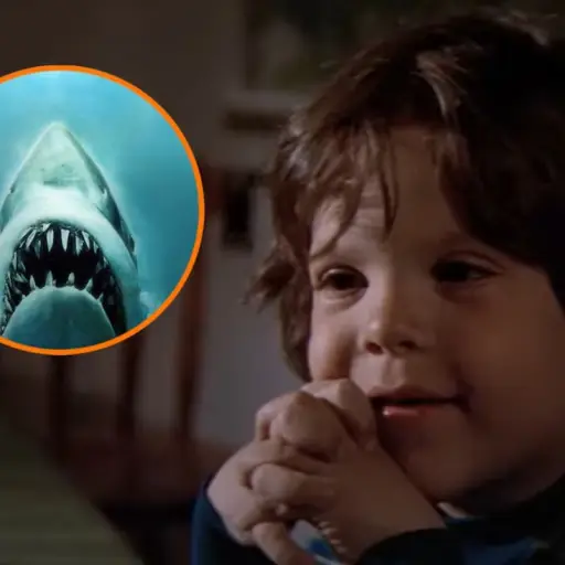 Jay Mello en Tiburón ,Redes sociales