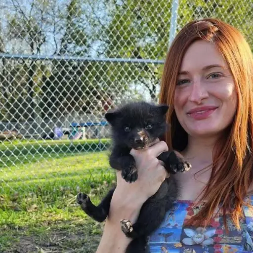 Mikayla Raines ,Instagram