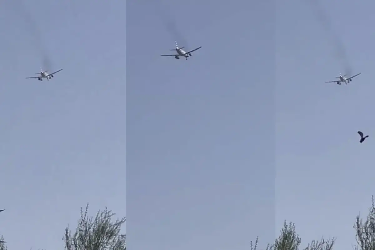 La tripulación declaró la emergencia aérea conforme a los protocolos de seguridad y logró aterrizar sin incidentes, Captura de pantalla