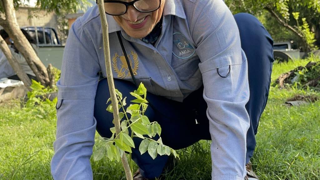 Ven alza de basura en el lago de Amatitlán por las lluvias | AMSA
