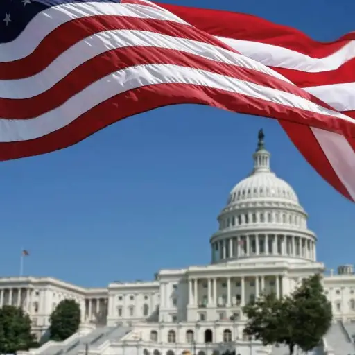 Bandera de EE. UU.  ,Redes sociales