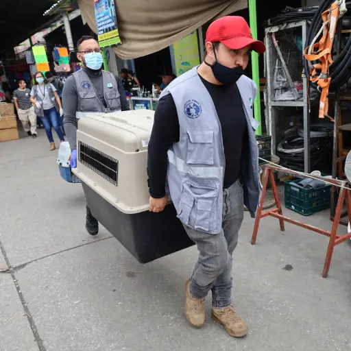 Operativo en el Guarda ,MAGA. 