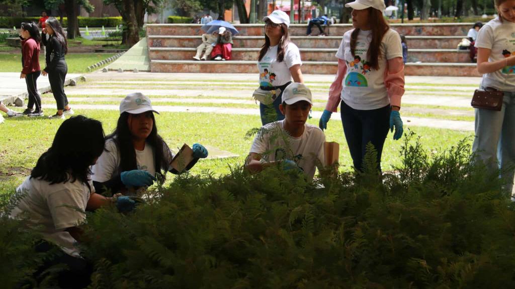 INDE hace entrega de 6 mil arbolitos de ciprés y jacaranda | Álex Meoño