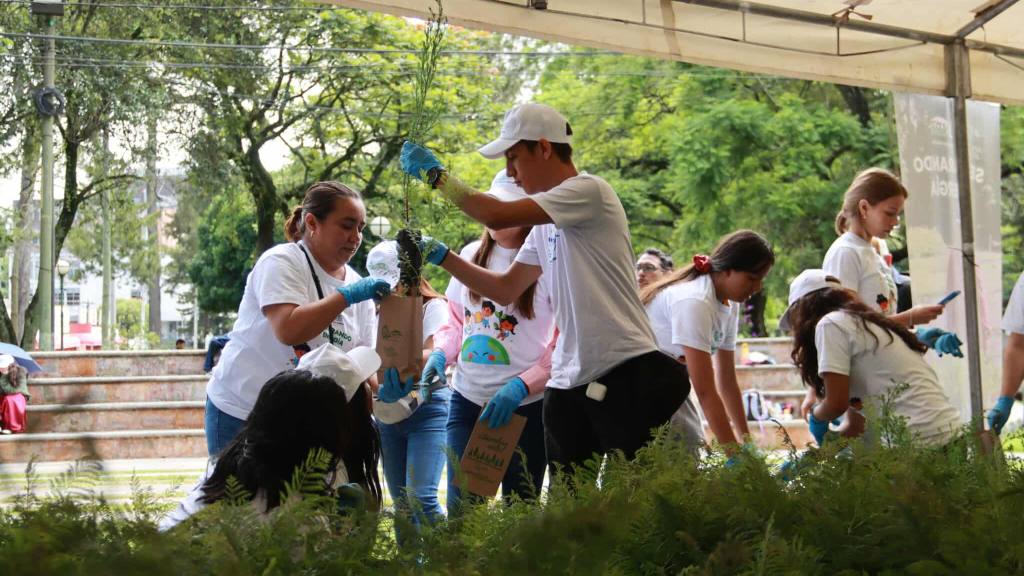 INDE hace entrega de 6 mil arbolitos de ciprés y jacaranda | Álex Meoño