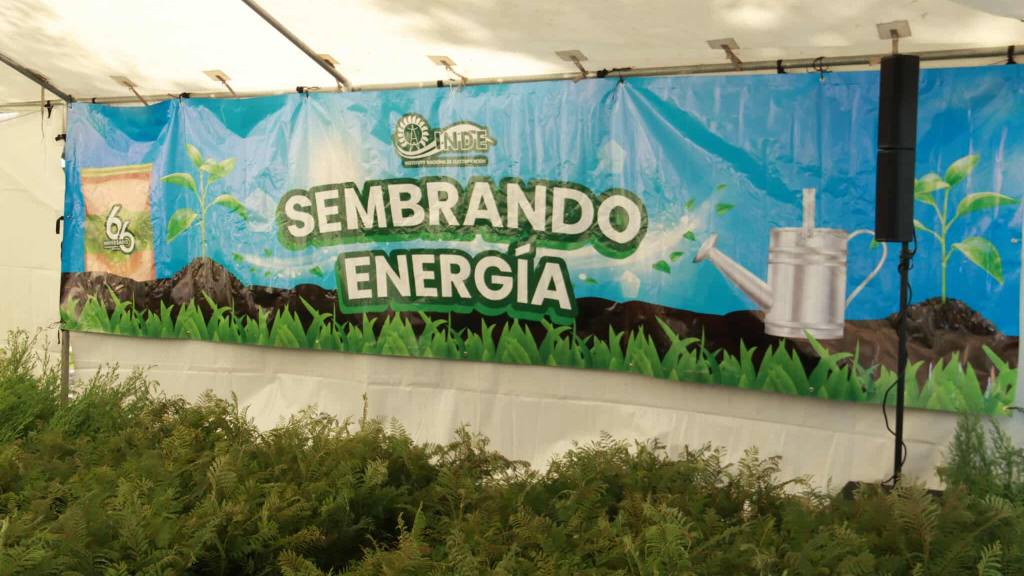 INDE hace entrega de 6 mil arbolitos de ciprés y jacaranda | Álex Meoño