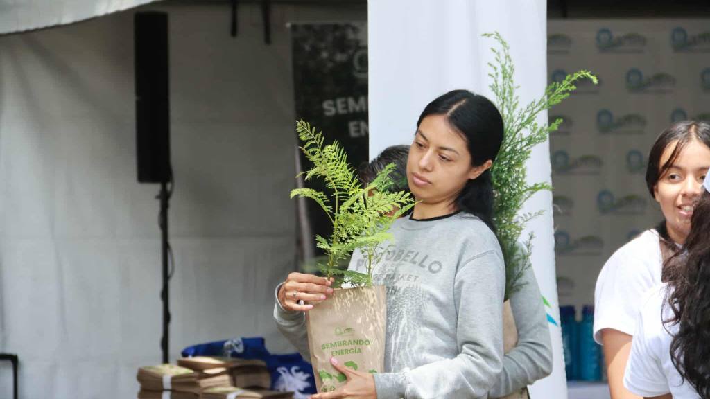 INDE hace entrega de 6 mil arbolitos de ciprés y jacaranda | Álex Meoño