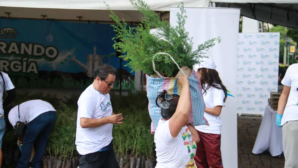 INDE hace entrega de 6 mil arbolitos de ciprés y jacaranda | Álex Meoño