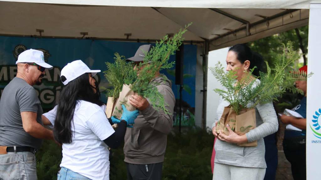 INDE hace entrega de 6 mil arbolitos de ciprés y jacaranda | Álex Meoño