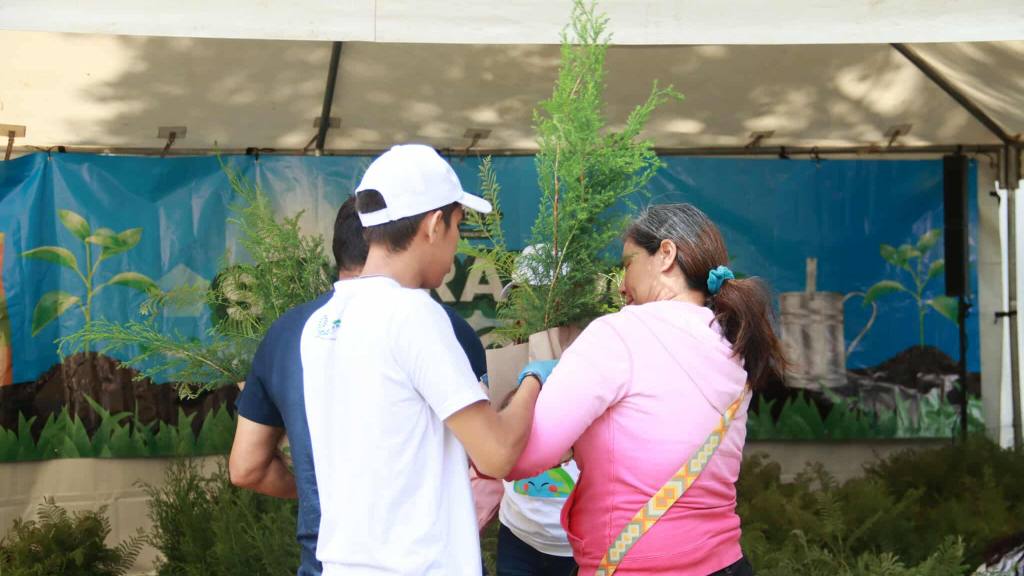 INDE hace entrega de 6 mil arbolitos de ciprés y jacaranda | Álex Meoño