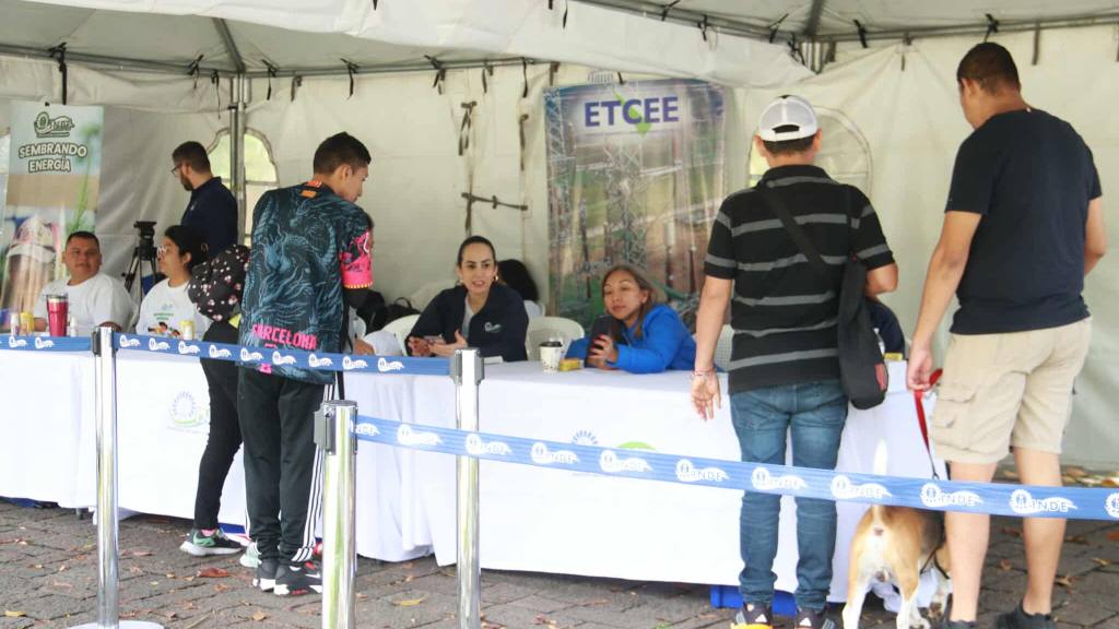 INDE hace entrega de 6 mil arbolitos de ciprés y jacaranda | Álex Meoño