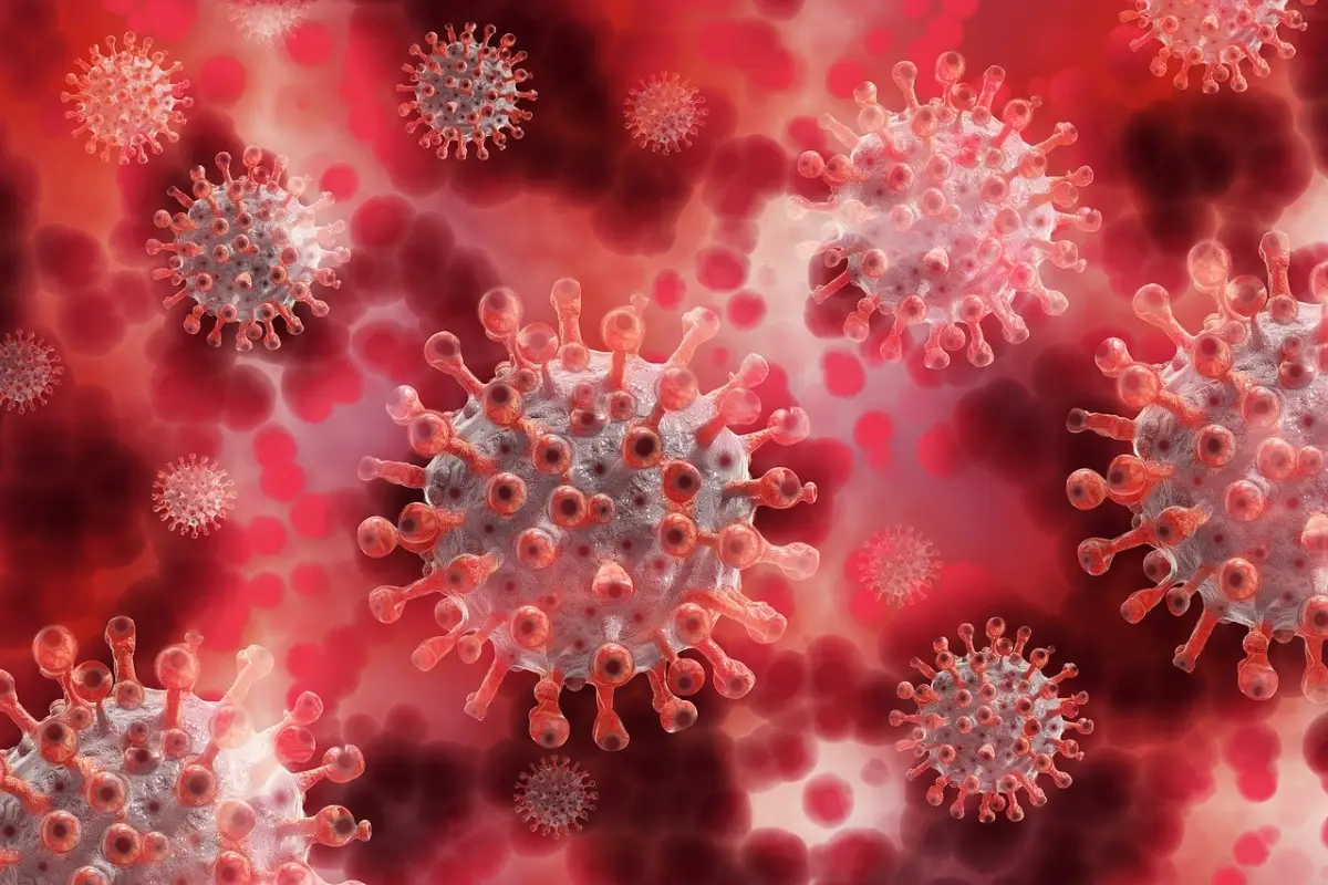 coronavirus, virus, plasma, plasma sanguíneo, covid-19, infección, patógenos, Pixabay